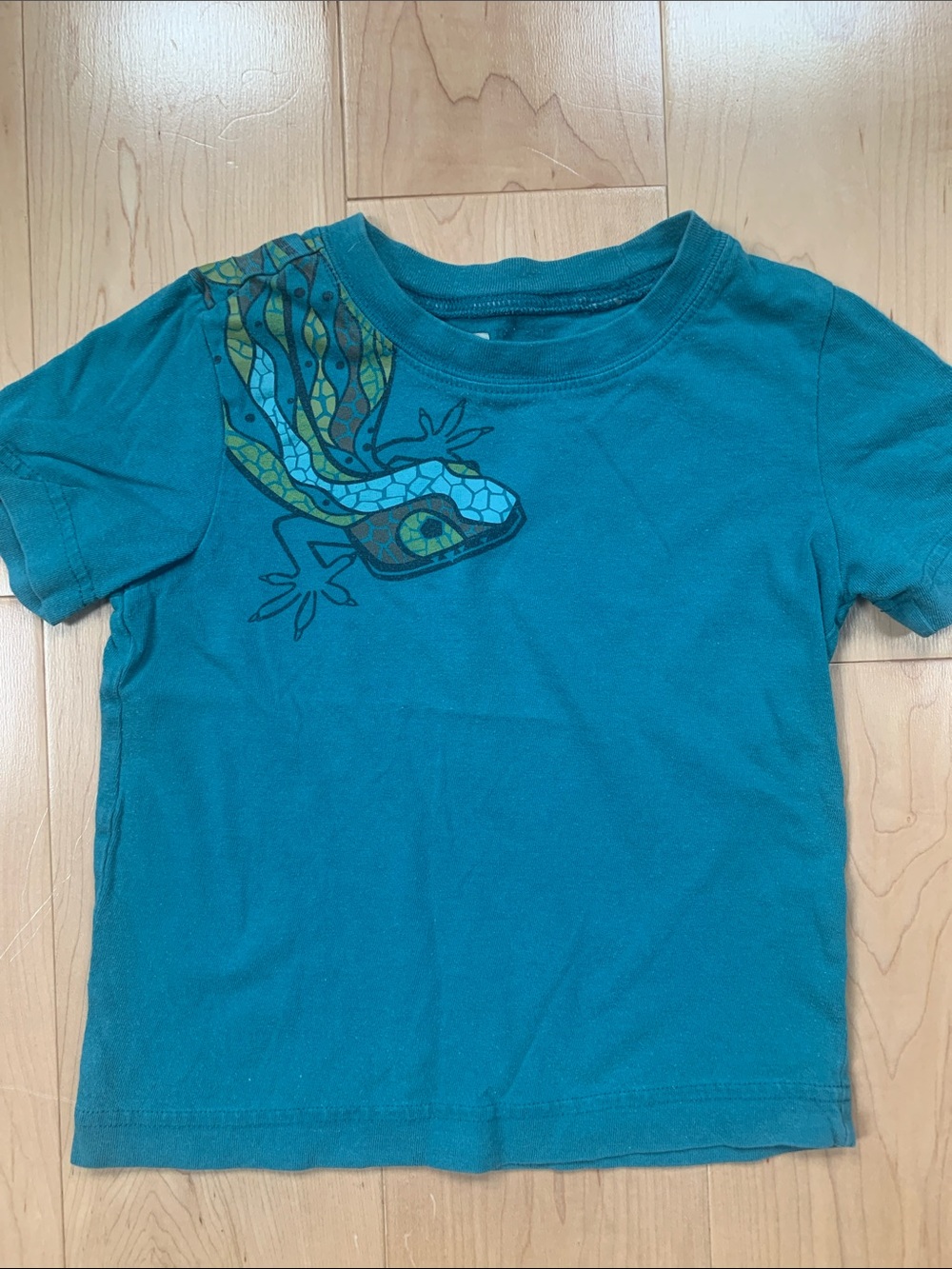 Tea Collection Kids Teal Lizard Graphic Tee - size 3